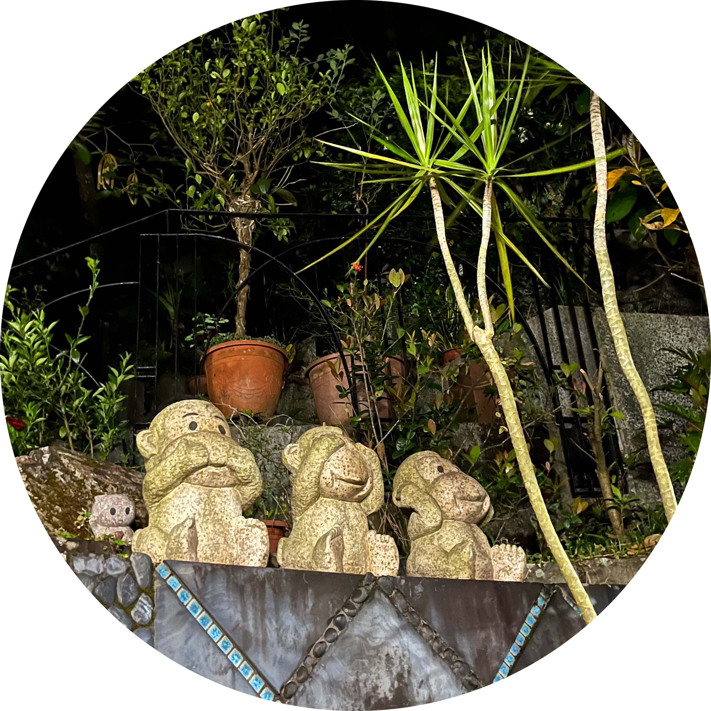 hOng.ZoO.CLuB ¯\_(ツ)_/¯